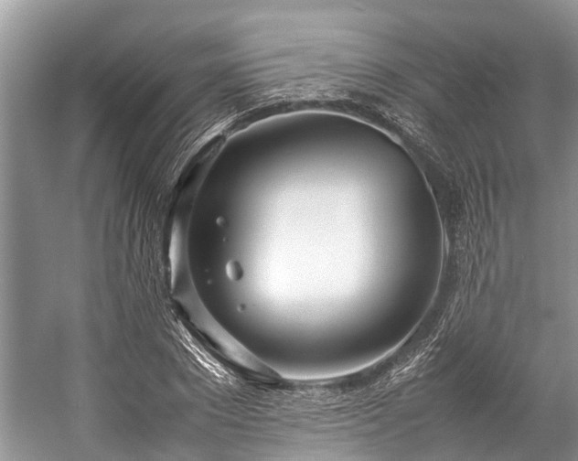 X0000057060881200509161449