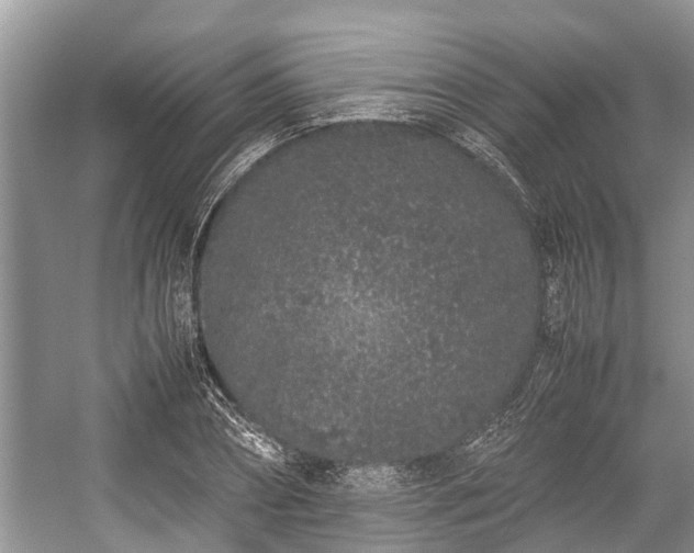 X0000057060882200509161449