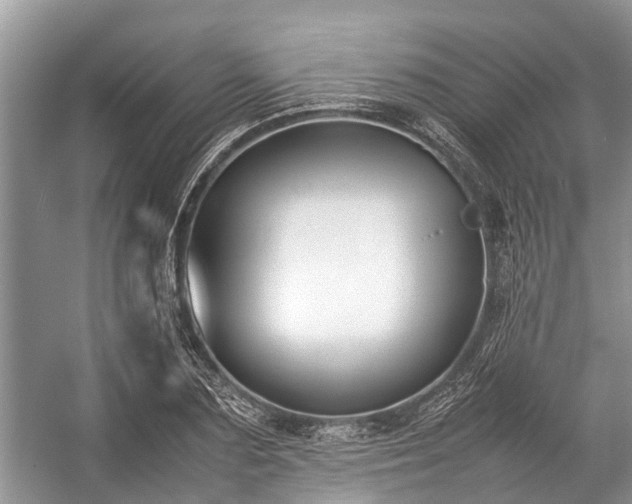 X0000057060883200509161449