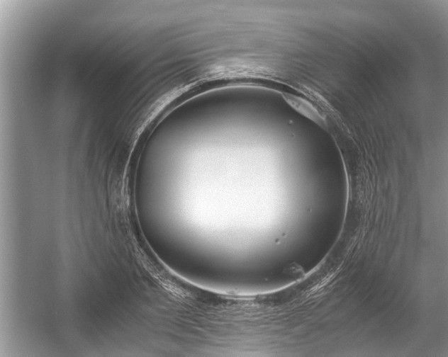 X0000057060885200509161449