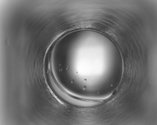 X0000057060894200509161449