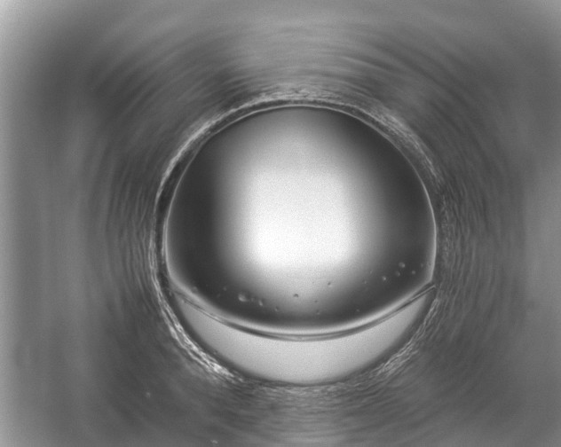 X0000057060896200509161449