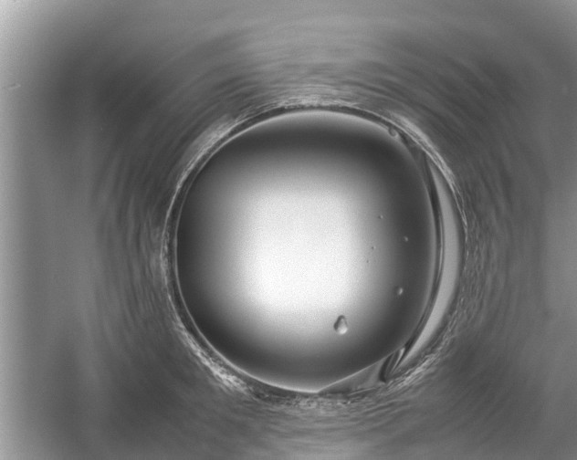 X0000057060901200509161448