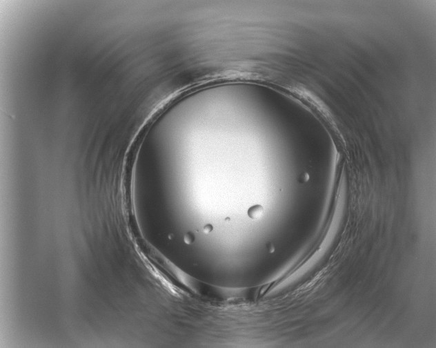 X0000057060902200509161448