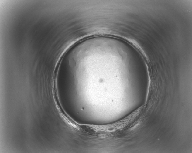 X0000057060903200509161448