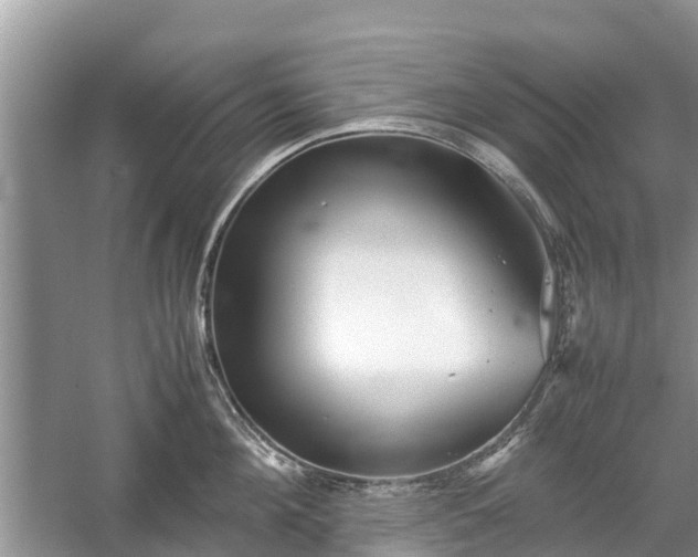 X0000057060908200509161448