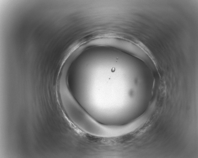 X0000057060909200509161448