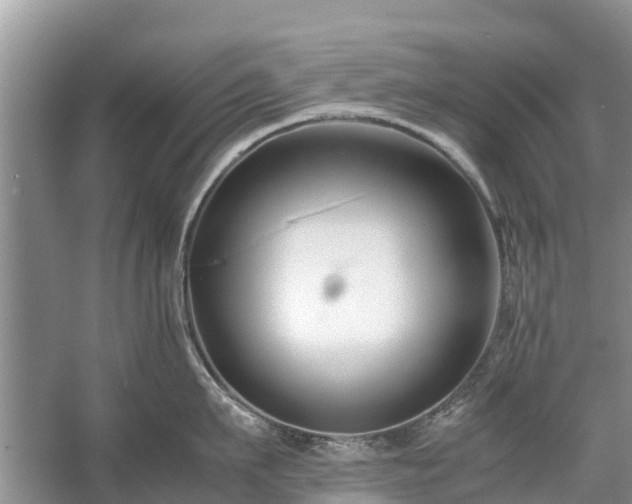 X0000057060911200509161448