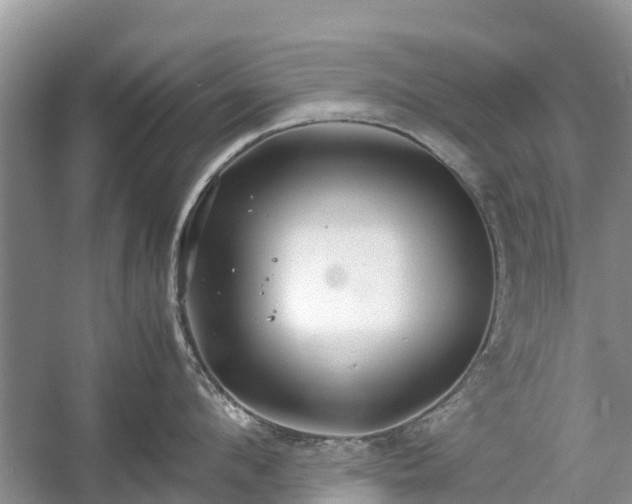 X0000057060912200509161448