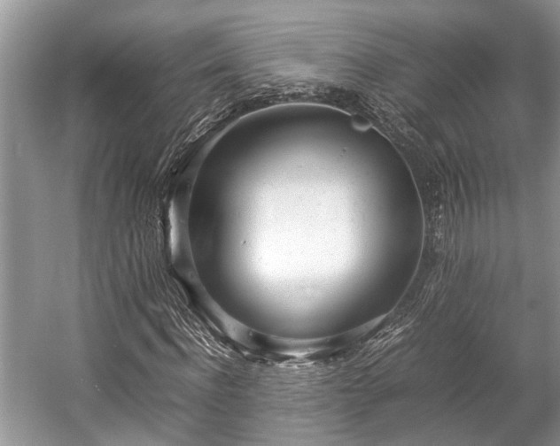 X0000057060916200509161448