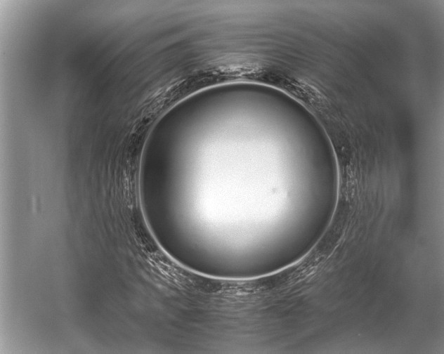 X0000057060917200509161448