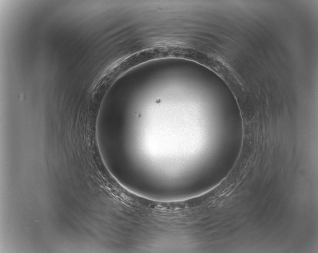 X0000057060919200509161448