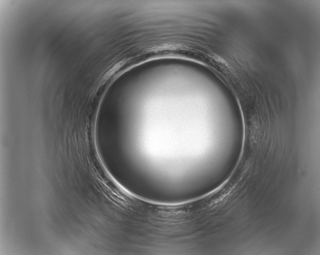 X0000057060921200509161448