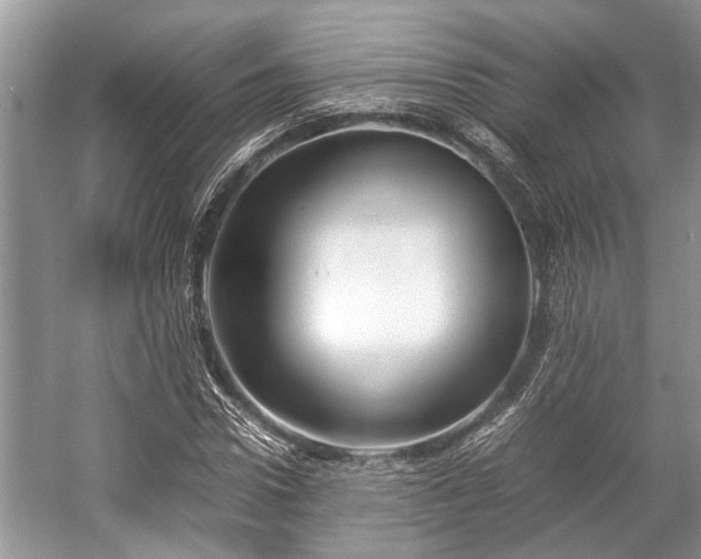 X0000057060922200509161448