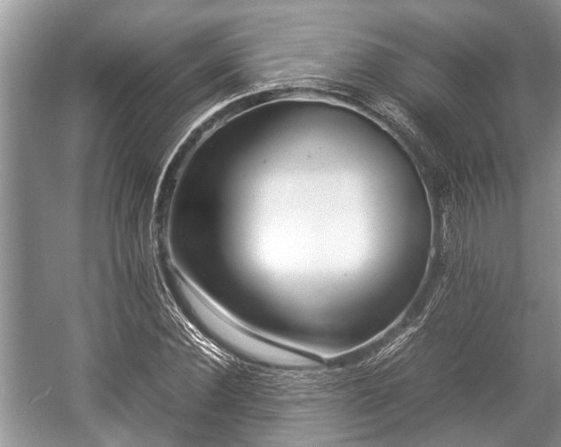 X0000057060924200509161448