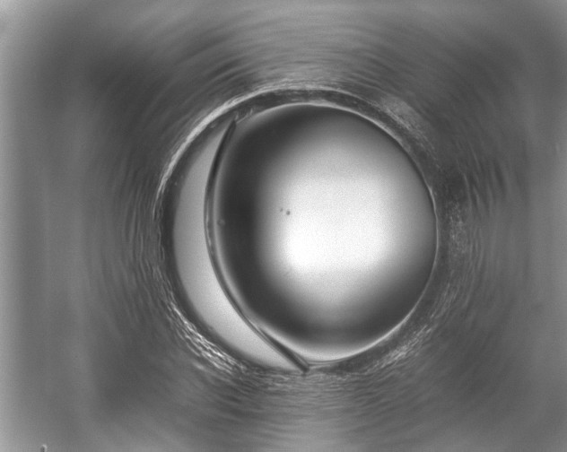 X0000057060926200509161448