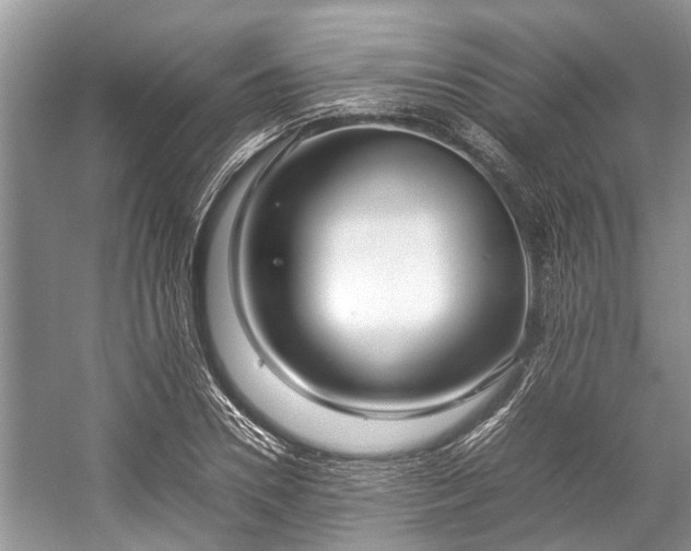 X0000057060930200509161448