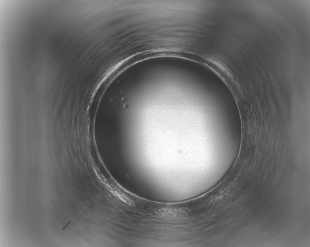 X0000057060933200509161448