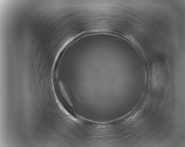 X0000057060941200509161448