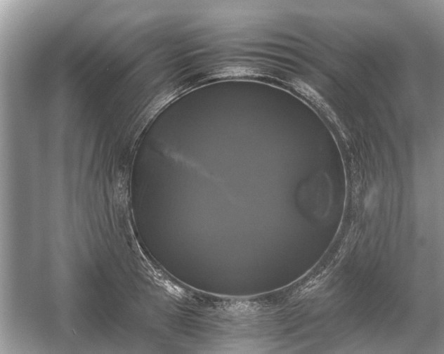 X0000057060945200509161448