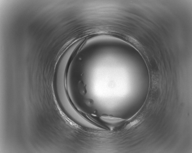 X0000057060946200509161448