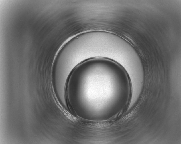 X0000057060948200509161448