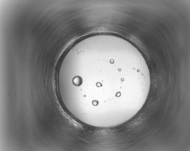 X0000057060950200509161448