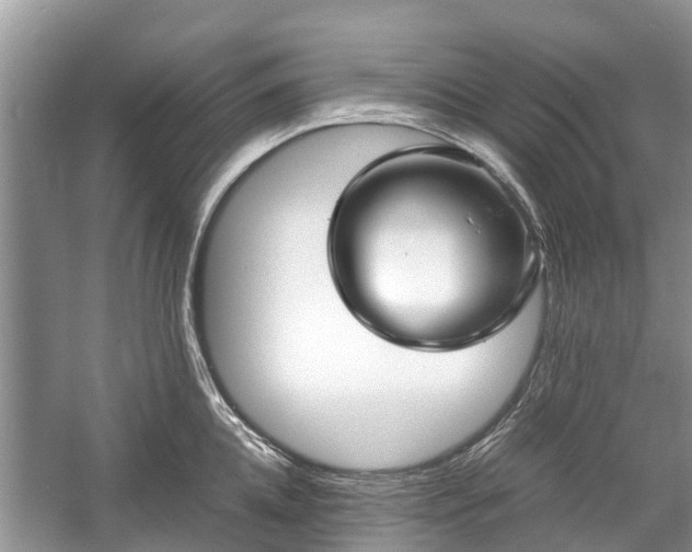 X0000057060952200509161448