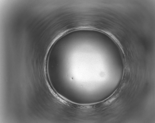 X0000057060957200509161448