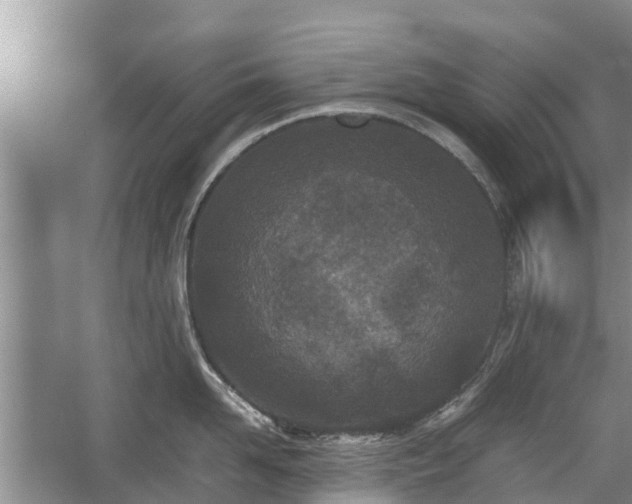 X0000057060958200509161448