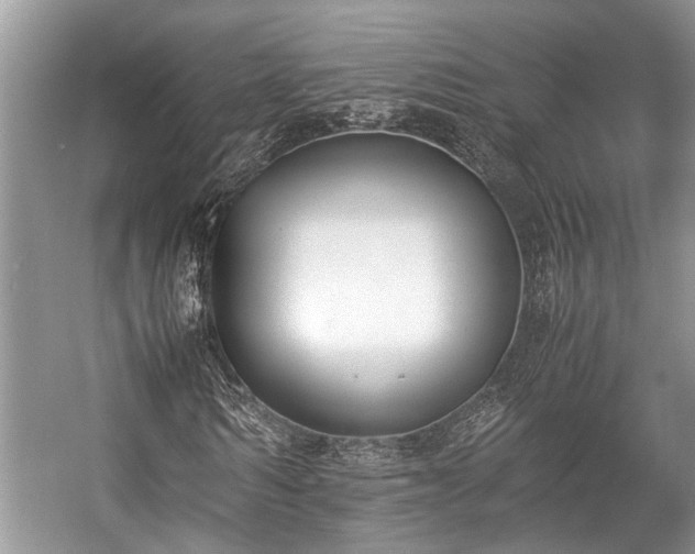 X0000057060962200509161447