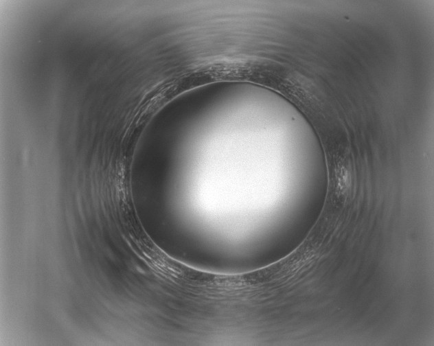 X0000057060964200509161447