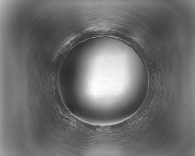 X0000057060967200509161447