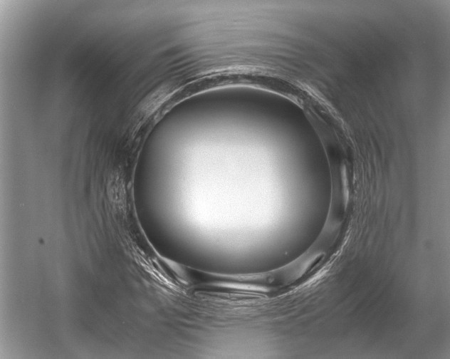 X0000057060969200509161447