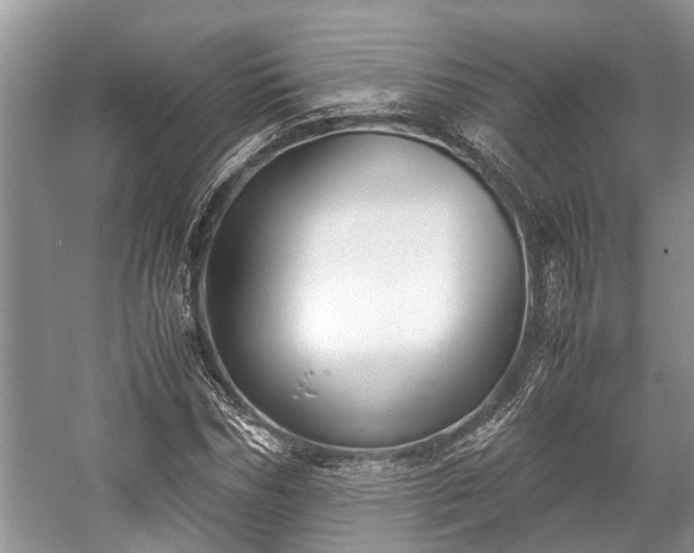 X0000057060970200509161447