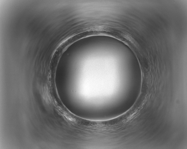 X0000057060971200509161447