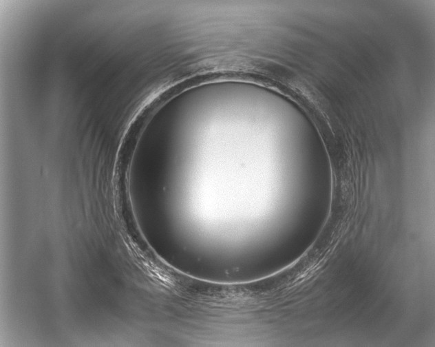 X0000057060975200509161447