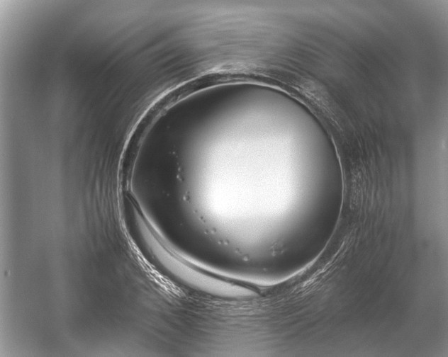 X0000057060976200509161447