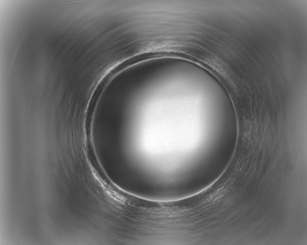 X0000057060980200509161447