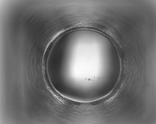 X0000057060981200509161447