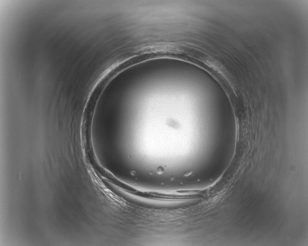 X0000057060983200509161447