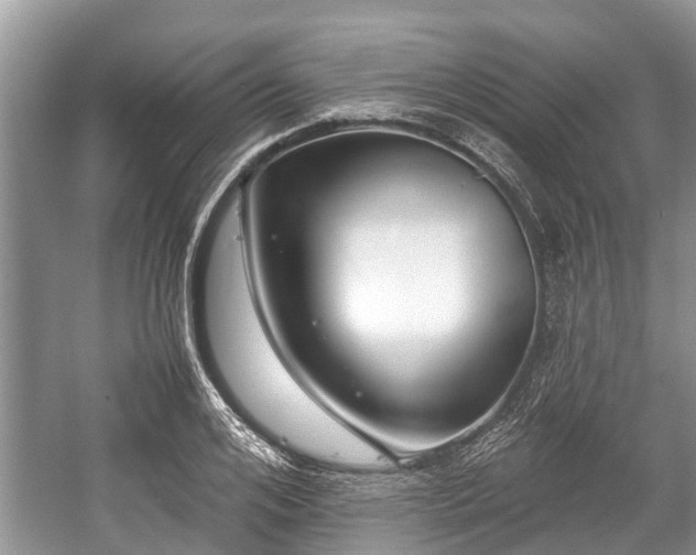 X0000057060984200509161447