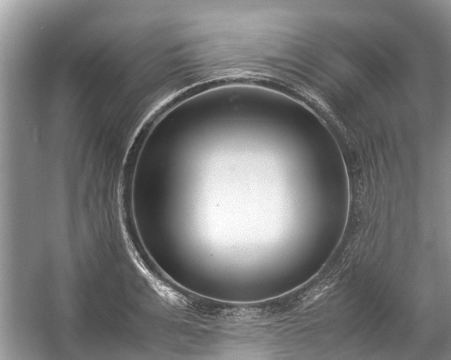 X0000057060991200509161447