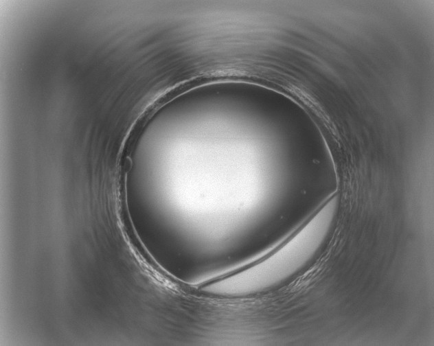 X0000057060992200509161447