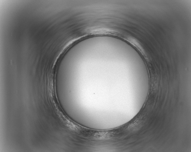 X0000057061000200509161447