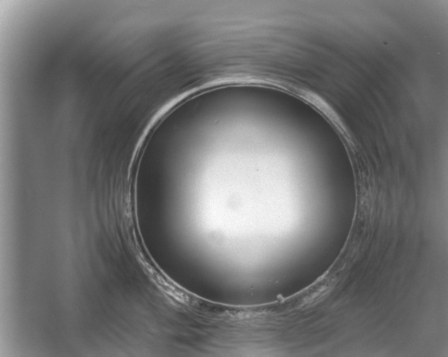 X0000057061004200509161447