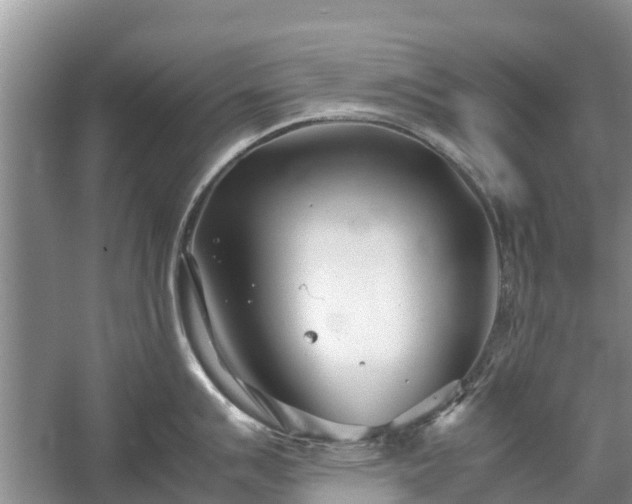 X0000057061007200509161447