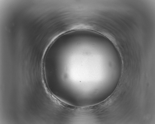 X0000057061008200509161447