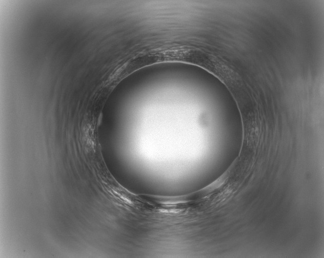 X0000057061010200509161446