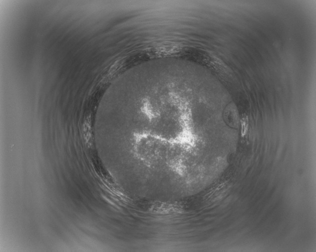 X0000057061011200509161446